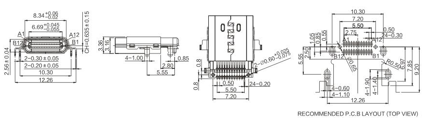 TYPE-C-24-031