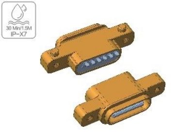 TYPE-C-06-022